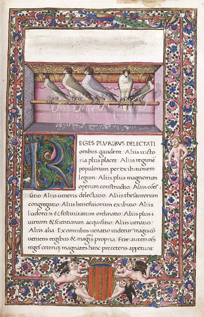 Illuminated page from Latin translation of Moamin's treatise on falconry