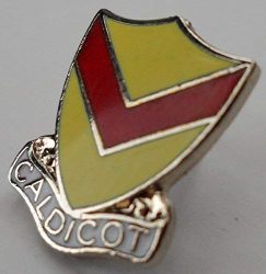 Caldicot Town Wales Pin Badge