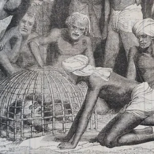 Medieval Torture Devices: Medieval Rat Torture - History & Pictures